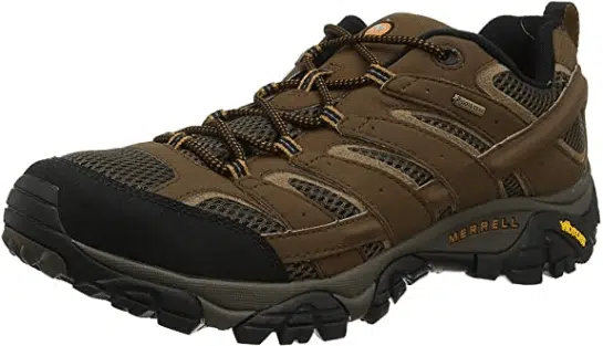 Merrell Men's Moab 2 GTX Hiking Shoe 