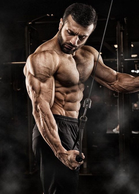 how to build arm muscle