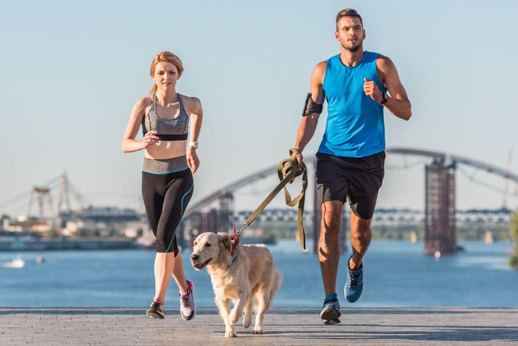10 Tips For Finding The Best Dog Leash For Running & Exercise